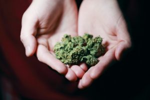 Marijuana Addiction And Testing
