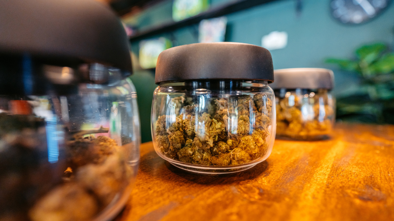 Is There a Link Between Cannabis and Dementia? Thumbnail